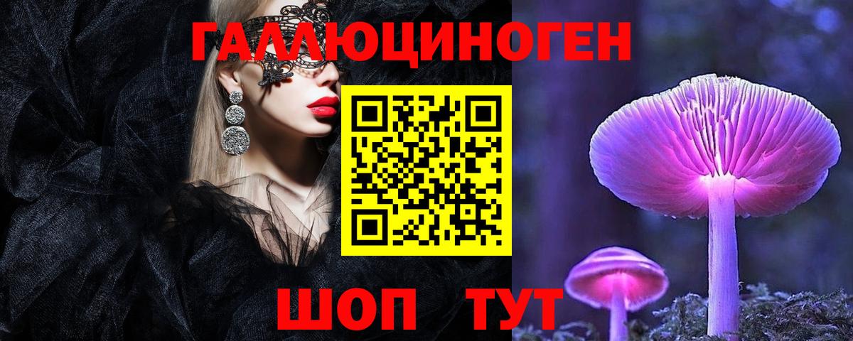 Кировск  Псилоцибиновые грибы Magic Shrooms  Вход с VPN 