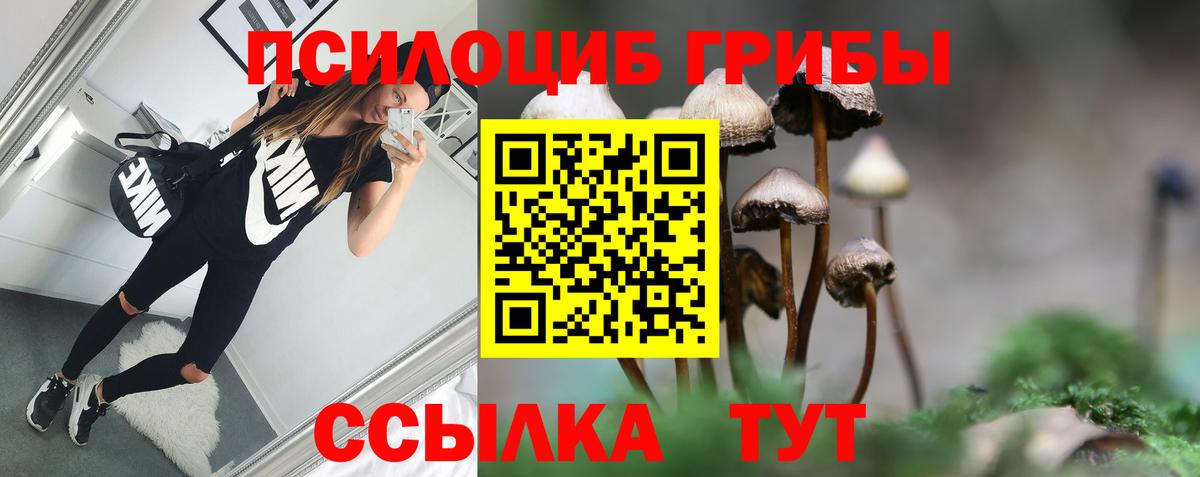 Псилоцибиновые грибы мицелий Кировск
